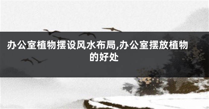 办公室植物摆设风水布局,办公室摆放植物的好处