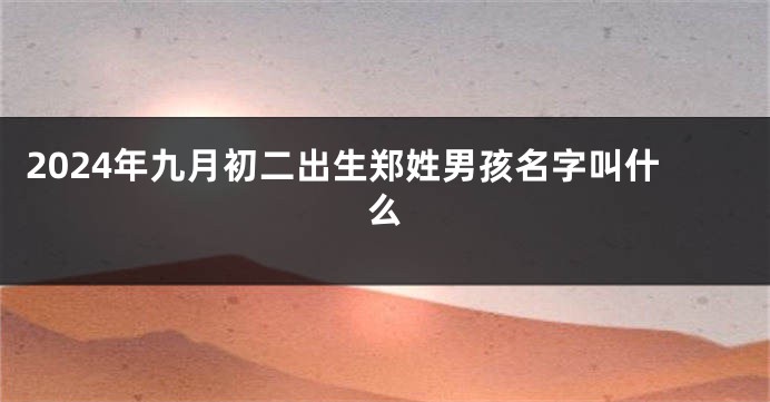 2024年九月初二出生郑姓男孩名字叫什么
