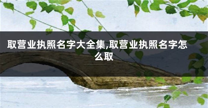 取营业执照名字大全集,取营业执照名字怎么取
