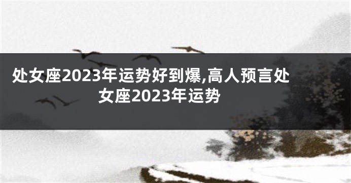 处女座2023年运势好到爆,高人预言处女座2023年运势