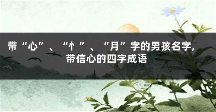 带“心”、“忄”、“月”字的男孩名字,带信心的四字成语