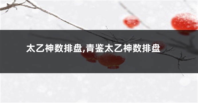 太乙神数排盘,青鉴太乙神数排盘
