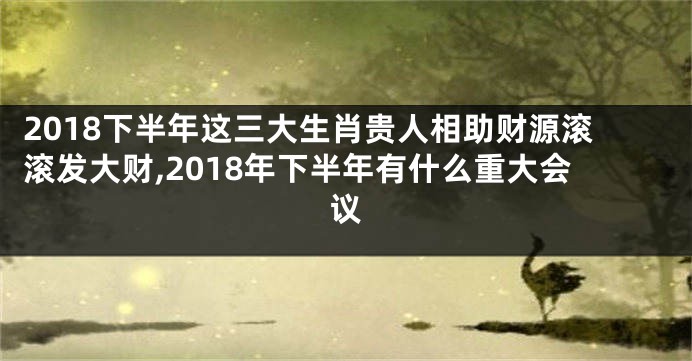 2018下半年这三大生肖贵人相助财源滚滚发大财,2018年下半年有什么重大会议