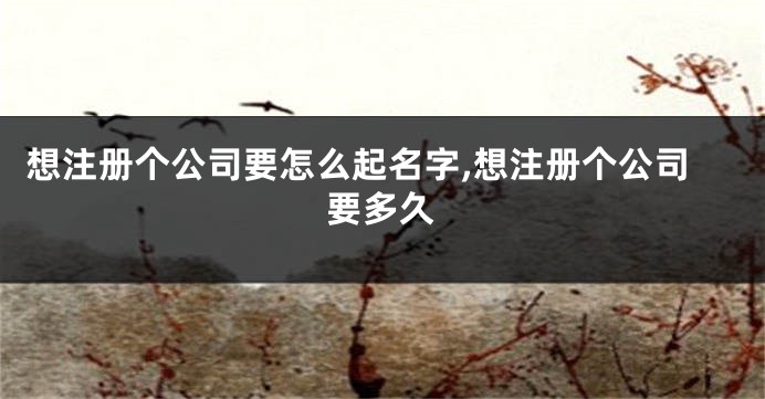 想注册个公司要怎么起名字,想注册个公司要多久