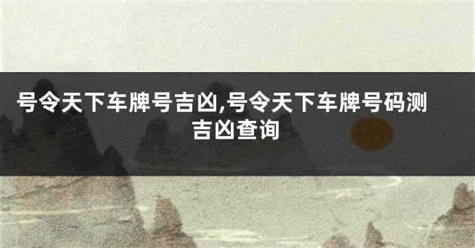 号令天下车牌号吉凶,号令天下车牌号码测吉凶查询