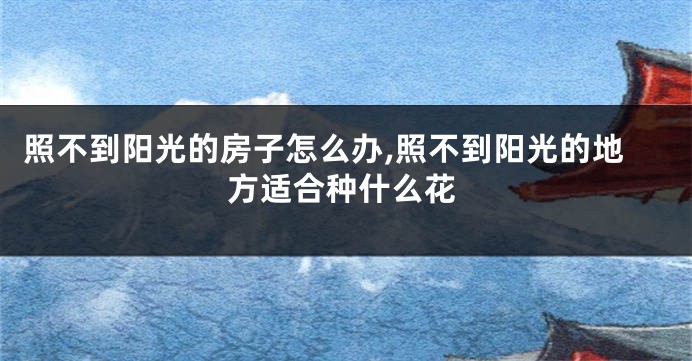照不到阳光的房子怎么办,照不到阳光的地方适合种什么花