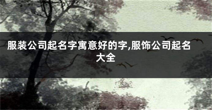服装公司起名字寓意好的字,服饰公司起名大全