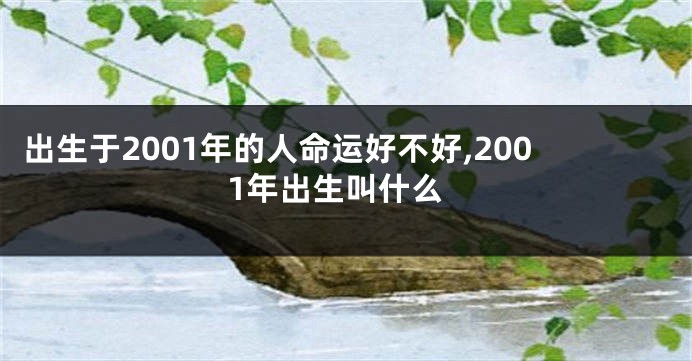 出生于2001年的人命运好不好,2001年出生叫什么