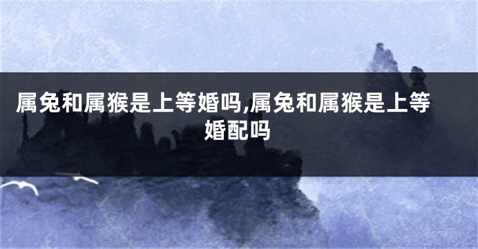 属兔和属猴是上等婚吗,属兔和属猴是上等婚配吗