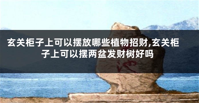 玄关柜子上可以摆放哪些植物招财,玄关柜子上可以摆两盆发财树好吗