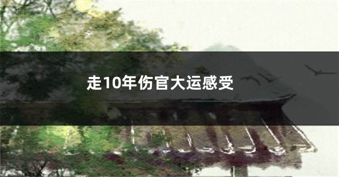 走10年伤官大运感受