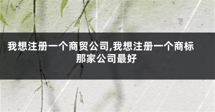 我想注册一个商贸公司,我想注册一个商标那家公司最好