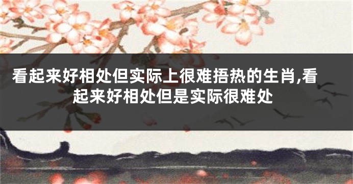 看起来好相处但实际上很难捂热的生肖,看起来好相处但是实际很难处