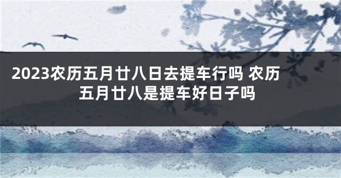 2023农历五月廿八日去提车行吗 农历五月廿八是提车好日子吗
