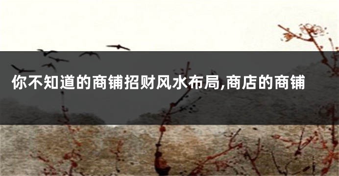 你不知道的商铺招财风水布局,商店的商铺