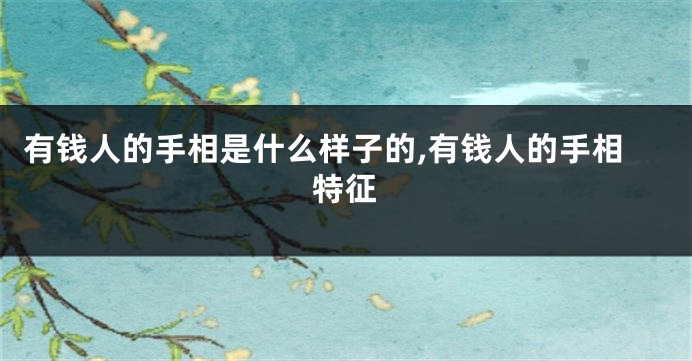 有钱人的手相是什么样子的,有钱人的手相特征