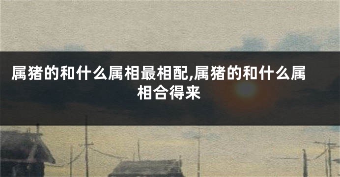 属猪的和什么属相最相配,属猪的和什么属相合得来