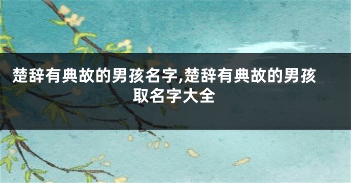 楚辞有典故的男孩名字,楚辞有典故的男孩取名字大全