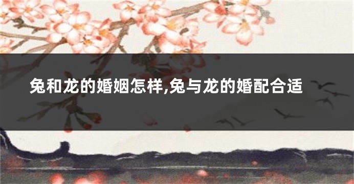 兔和龙的婚姻怎样,兔与龙的婚配合适