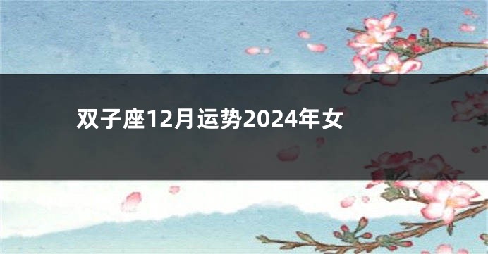 双子座12月运势2024年女