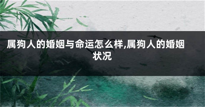 属狗人的婚姻与命运怎么样,属狗人的婚姻状况
