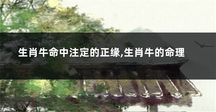 生肖牛命中注定的正缘,生肖牛的命理