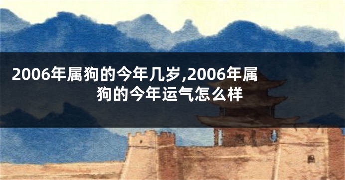 2006年属狗的今年几岁,2006年属狗的今年运气怎么样