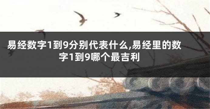 易经数字1到9分别代表什么,易经里的数字1到9哪个最吉利
