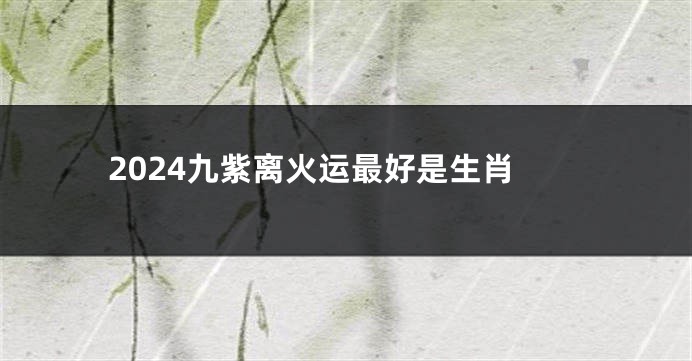 2024九紫离火运最好是生肖