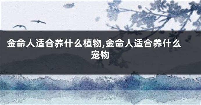 金命人适合养什么植物,金命人适合养什么宠物