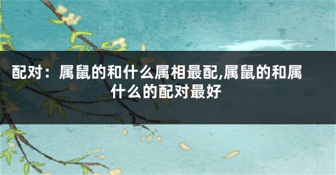 配对：属鼠的和什么属相最配,属鼠的和属什么的配对最好