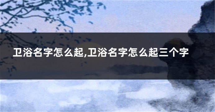卫浴名字怎么起,卫浴名字怎么起三个字