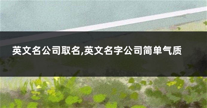 英文名公司取名,英文名字公司简单气质
