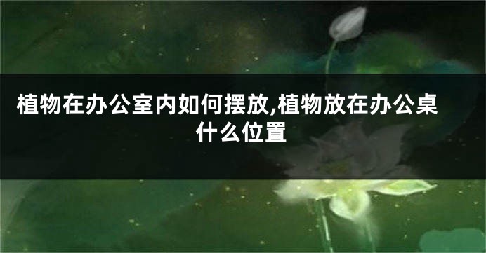 植物在办公室内如何摆放,植物放在办公桌什么位置