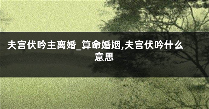 夫宫伏吟主离婚_算命婚姻,夫宫伏吟什么意思