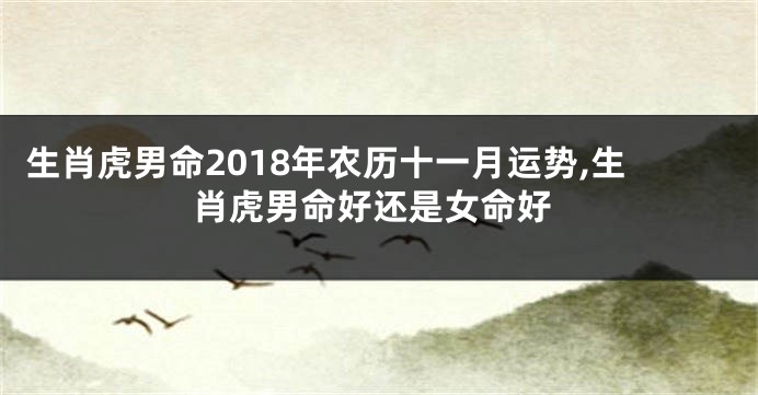 生肖虎男命2018年农历十一月运势,生肖虎男命好还是女命好