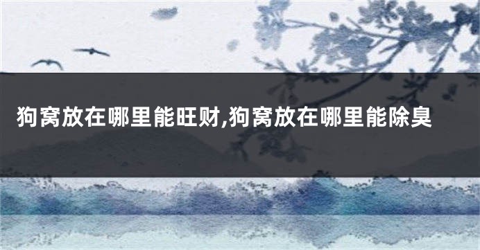 狗窝放在哪里能旺财,狗窝放在哪里能除臭