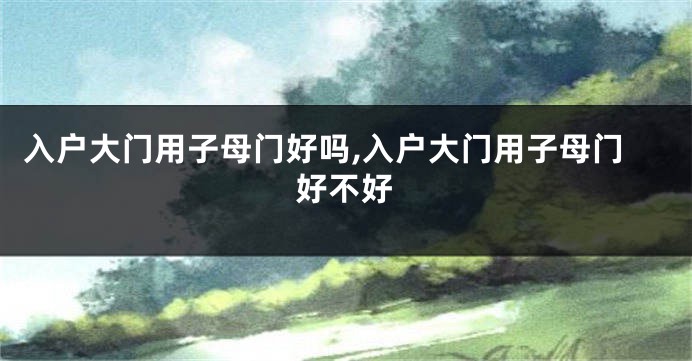 入户大门用子母门好吗,入户大门用子母门好不好