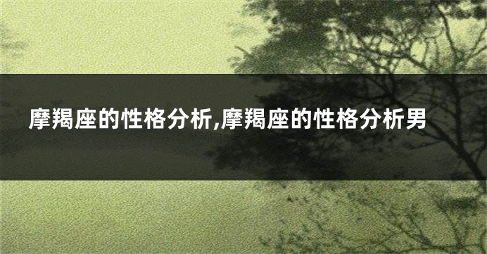 摩羯座的性格分析,摩羯座的性格分析男