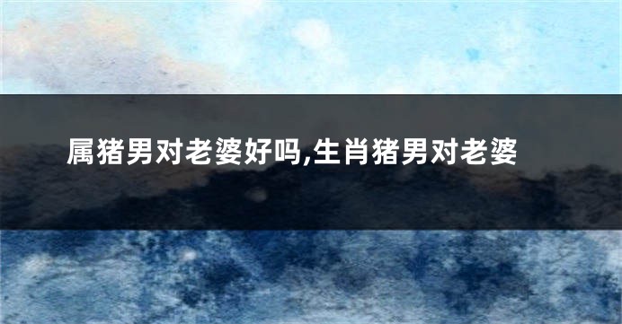 属猪男对老婆好吗,生肖猪男对老婆