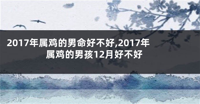 2017年属鸡的男命好不好,2017年属鸡的男孩12月好不好