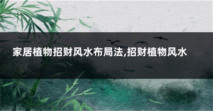 家居植物招财风水布局法,招财植物风水