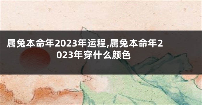 属兔本命年2023年运程,属兔本命年2023年穿什么颜色