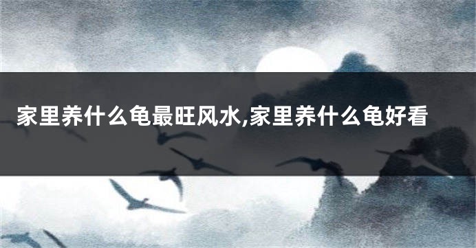 家里养什么龟最旺风水,家里养什么龟好看