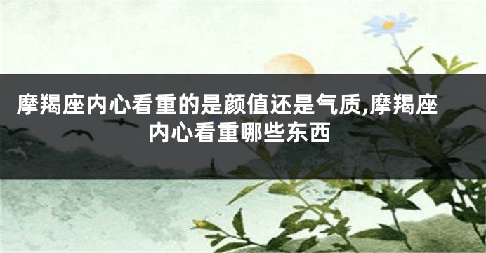 摩羯座内心看重的是颜值还是气质,摩羯座内心看重哪些东西