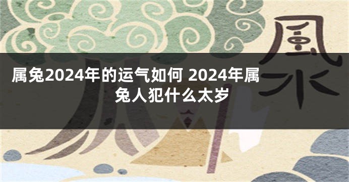 属兔2024年的运气如何 2024年属兔人犯什么太岁