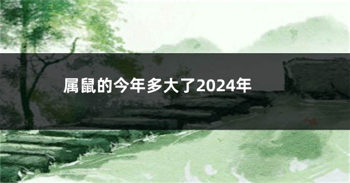 属鼠的今年多大了2024年