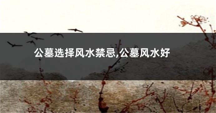 公墓选择风水禁忌,公墓风水好