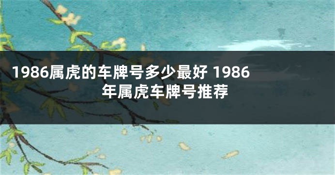 1986属虎的车牌号多少最好 1986年属虎车牌号推荐