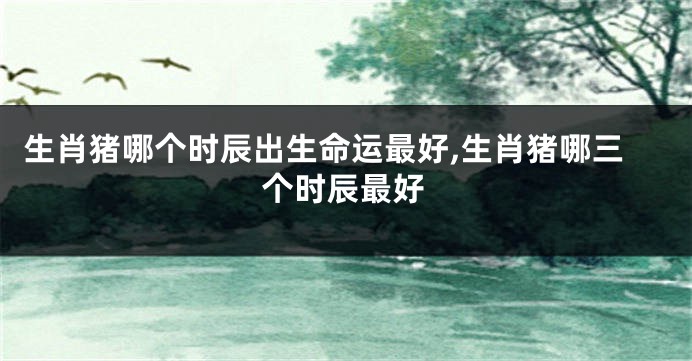 生肖猪哪个时辰出生命运最好,生肖猪哪三个时辰最好